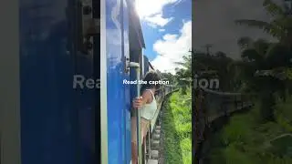 Why the Ella Train Ride is a Must Experience!