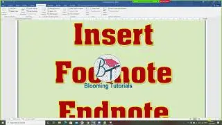 Reference, mailing, Review Tab