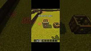Minecraft Logic Makes ZERO Sense 🤯 #minecraft #shorts #ytshorts