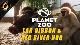 Lar Gibbon & Red River Hog || Planet Zoo