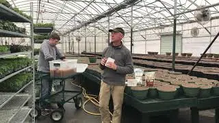 What&rsquo;s happening in the greenhouse 2020?
