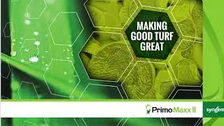 Benefits of Using Primo Maxx II