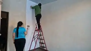 Клеим обои и не ссоримся