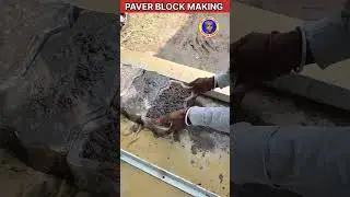 PAVER BLOCK MAKING 🛣️ #paverblocks #shorts