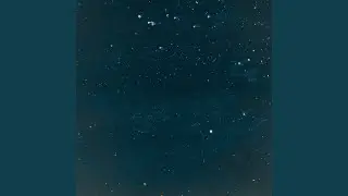 Мухи и Стрекозы