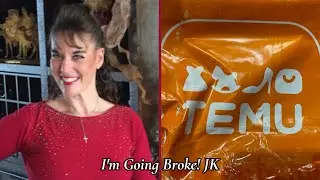 #126 Temu Haul #4 Come See What I Got Today!