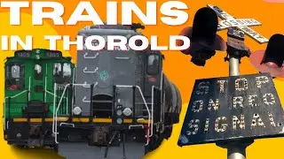 Промышленные переезды возвращаются в Торолд ~ Bioveld Ontario Pulp & Paper с переездами Cats-Eye Train Crossings
