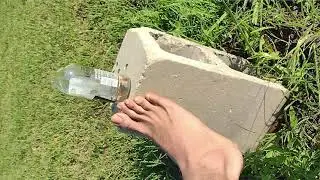 Music for watching ants a minute -Fickle Jaguar
