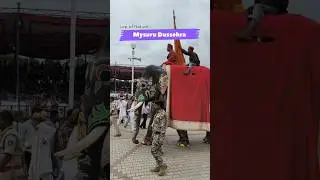 Mysore Dussehra Procession  #mysore #mysoredussehra #lapofnature #karnataka #lap_of_nature
