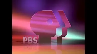 PBS (1993-96) logo but with the 2019 logo