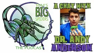 A Conversation with Veterinarian Dr.  Andy Anderson About Tarantula Health Pt. 1 (TBS Podcast).
