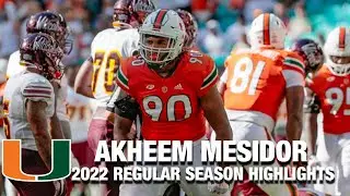 Akheem Mesidor 2022 Regular Season Highlights | Miami DL