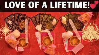 How Do They Really Feel About You? 😳❤️✨ Pick A Card Love Tarot Reading