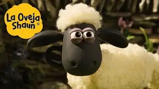 La Oveja Shaun 🐑 Feliz Navidad de ovejas 🐑 Dibujos animados para niños