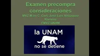 CHARLAS EQUINOS  Examen precompra consideraciones, Jose Luis Velazquez