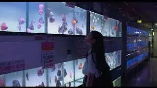 Yeule ; Pocky Boy (FMV Sub. Espa&ntilde;ol)
