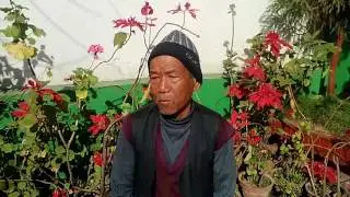 Back pain/sciatica/nerve root compression treatment#without surgery in Yosas Clinic, Lagankhel/Nepal