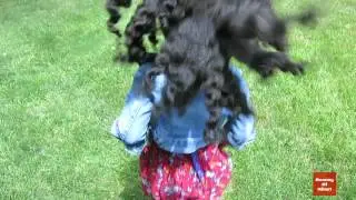 Bantu Knot-Out On My Daughter's Hair