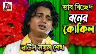ভাব বিচ্ছেদ II দাঁড়াইয়া যাও শুনিয়া আমি দুঃখিনীর বেদনও II নয়ন শেখ II বনের কোকিল আমার বন্ধুরে নি চিনো