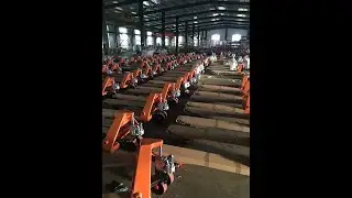 Crossbee Hydraulic Hand Pallet Truck full Measurement | 67kg weight | 3ton HPT | RMS