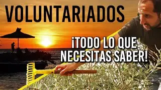 VOLUNTARIADO, la verdad de hacer voluntariados en el extranjero 🗺️ HELPX 🛶 Workaway