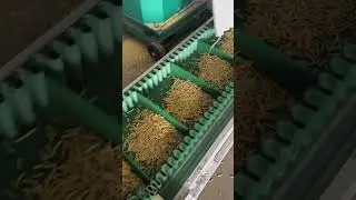 Pellet production line, efficient farming