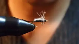 Yamamoto's Split Shuck Floater: CDC Back