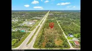 12313 Tamiami TRL