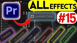 Lumetri COLOR (Effect) tutorial Every Effect in Adobe Premiere Pro 2023 Explained EP#15  Hindi-Urdu