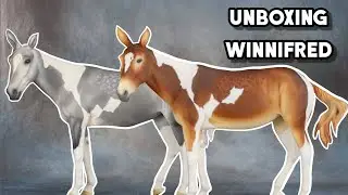 Распаковка двух игрушек Winnifred!