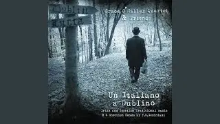 Lost My Love / The Orange Rougue