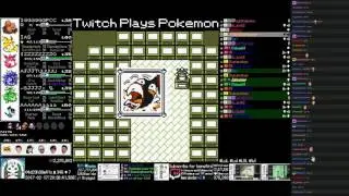 TPP Chatty Yellow