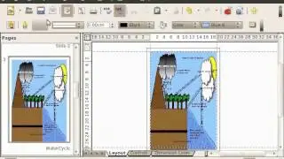 Import and Export Images - English
