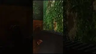 THICC BOI RAID #gaming #eft #escapefromtarkov #short #shortsvideo #pcgaming #funny #unlucky