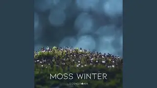 Moss Winter