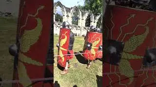 Roman Shield Wall