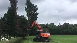 Bomen rooien met mobilekraan