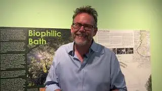 Biophilic Bath July 2024 Museum of Bath Architecture