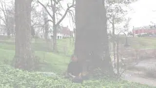 I am sitting on the Earth
