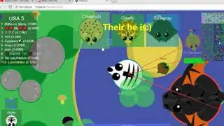 Mope.io playing with [K]Killer Whale images(my recording messed up):(