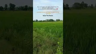 ValueThePerson #ImportanceMatters #TeluguReels #Feelings #NoEgo #Respect #CountrysideChronicles-s4n