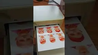 принтер Canon Selphy CP520