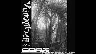COAX - The Truth [VMNTR071]
