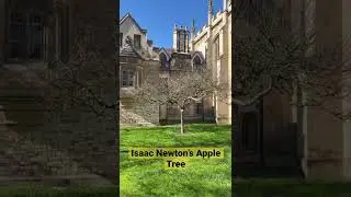 Isaac Newton&rsquo;s Apple Tree in Cambridge