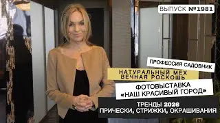 Выпуск программы от 09.01.2026