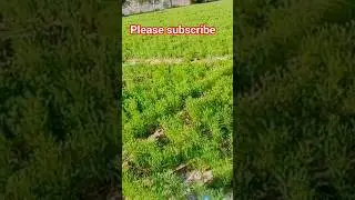 blocking#pahli blocking start#farming block#short video