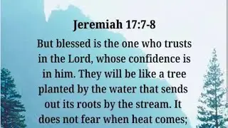 Happy Sabbath Day🎊🤩