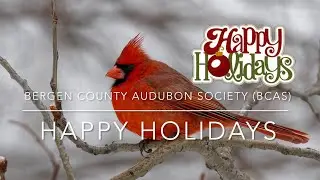 Happy Holidays from the Bergen County Audubon Society (BCAS)