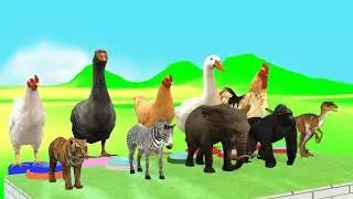 Long slide Game  Duck Cartoon, Cow, Elephant, Tiger