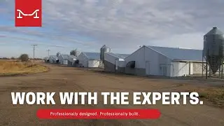 Why do swine producers choose Midwest Livestock for their building and equipment needs?